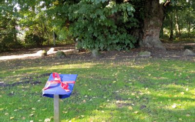 Heeder Linde erster Nationalerbe-Baum
