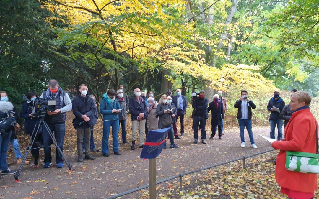 Berg-Ahorn im Hamburger Hirschpark als sechster Nationalerbe-Baum ausgerufen