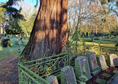 Mammutbaum Bremen: Gräber aus der Pflanzzeit des Baumes ab 1875