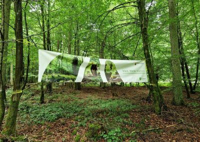 Ausrufung Königseiche im Kammerwald: Slogan der Landesforsten Rheinland-Pfalz