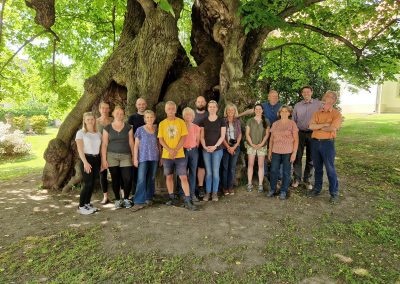 Collmer Linde: das Tharandter TU-Forstbotanik-Team auf Dienstreise am Baum im Mai 2022