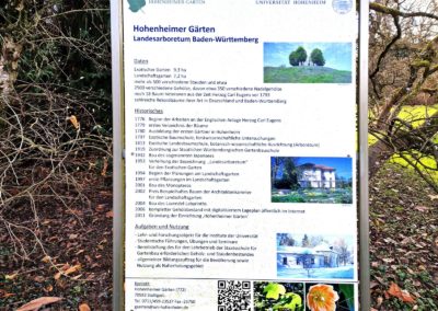 Platane Hohenheim: Erläuterungstafel zu den Hohenheimer Gärten der Universität Hohenheim