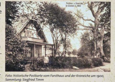 Kroneiche Röbel/Müritz: alte Postkarte vor über 120 Jahren (Quelle: Erläuterungstafel von Forst und Stadt am Baum)