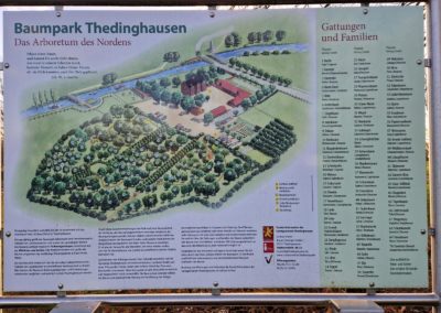 Eibe Thedinghausen: eindrucksvolle Erläuterungstafel zum benachbarten Thedinghauser Baumpark