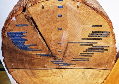 Ausrufung der Urwaldtanne: 450-jährige, vollholzige Stammscheibe der Nachbartanne im Waldmuseum Zwiesel – der Nachweis für das hohe Baumalter der Ausrufungstanne
