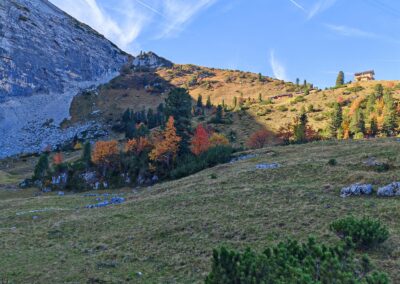 Bergwiesen im Oktober mit grünen Zirben, gelben Berg-Ahornen und roten Ebereschen in prächtiger Herbststimmung