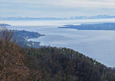 Burkhartlinde am Haldenhof: …und dann ab und zu das spektakuläre Alpenpanorama, Mitte links der Überlinger Uferbogen am Stadtrand mit Uferpark