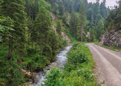 Ausrufung Zirbe Schachen: am Beginn des Aufstiegs ein tosender Bach vom Regen und Gewittern der letzten Tage und Stunden