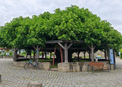 Tanzlinde Effeltrich (Landkreis Forchheim, Oberfranken)