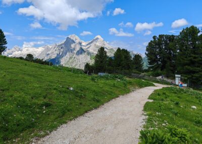 Ausrufung Zirbe Schachen: der Alpengarten (Mitte rechts hinter Zaun) vor malerischer Bergkulisse