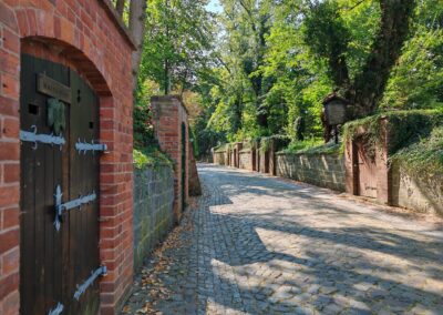 Weinkeller-Linde Schlieben: der Hohlweg (Martinstraße) mit links und rechts den vielen Weinkellern, rechts oben die Linde