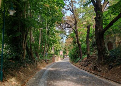 Weinkeller-Linde Schlieben: der Hohlweg von Süden in Richtung Stadtkern kommend, rechts ein Weinkeller auf der Höhe