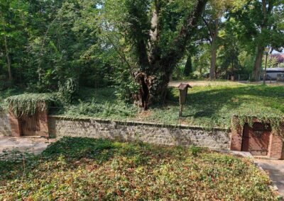 Weinkeller-Linde Schlieben: idealer Standort zwischen den Kellergewölben (Blick von Anhöhe auf einem Weinkeller gegenüber)