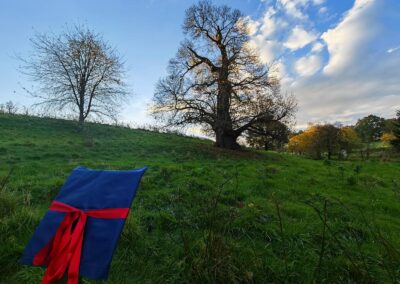 Ausrufung der der Dicken Ess-Kastanie Aachen: die Baumtafel wie fast immer zum Sonnenaufgang (diesmal um 08:17 Uhr) installiert