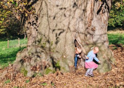 Ausrufung der der Dicken Ess-Kastanie Aachen: Kleinere Kinder haben problemlos Zugang ins "Gruselinnere" der Kastanie…