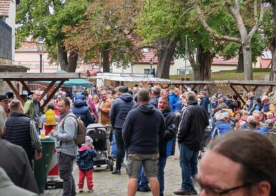 Ausrufung Linde Schlieben: Dann wird es richtig voll, und die Party zur Linden-Ausrufung kann beginnen…