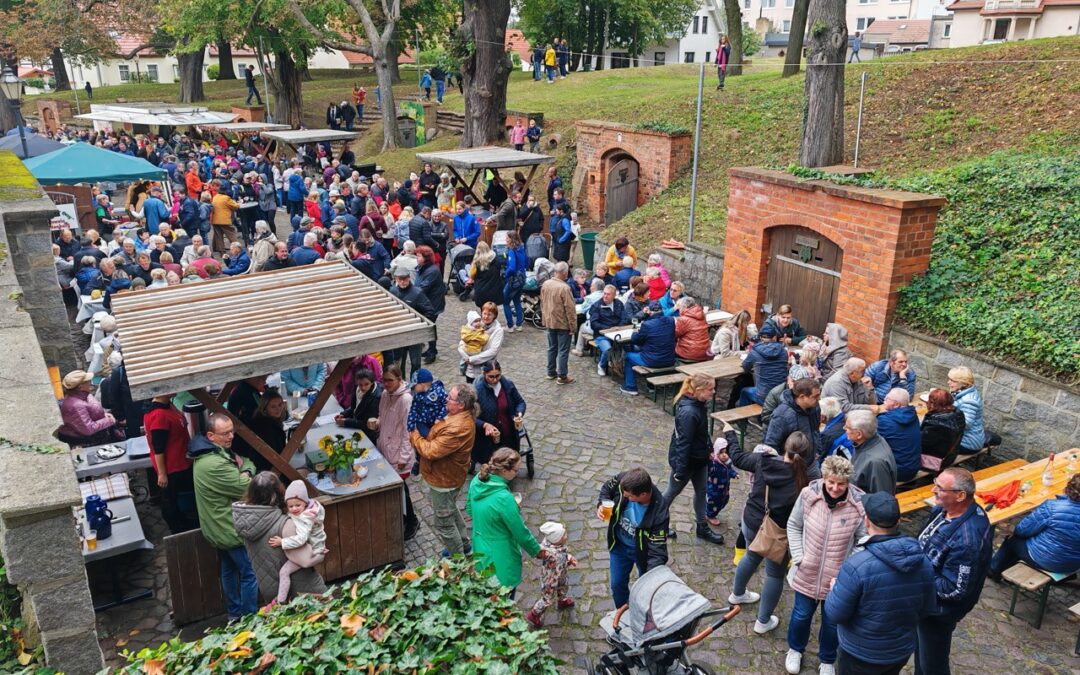 Ausrufung der Linde zwischen Weinkellern in Schlieben (Brandenburg) perfekt vollzogen