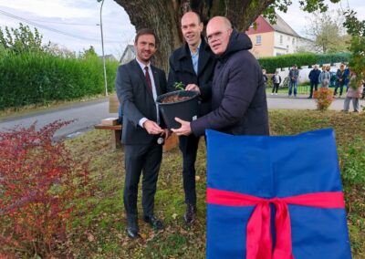 Ausrufung Straßeneiche Buch: Präsent einer Eiche aus Naturverjüngung vom Waldrand (v.l. Ortsbürgermeister Tobias Vogt, Landrat Volker Boch, Verbandsgemeinde-BM Christian Keimer)