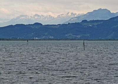 am Morgen der Ausrufung die schneebedeckte Schweizer Alpen-Bergkette vom Seeufer beim Lebensbaum aus