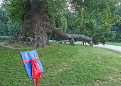 Ausrufung Wolfgangseiche Thalmassing: am Morgen des Feier-Tages die Tafel installiert – allein mit dem Riesenbaum, ein ganz starkes Erlebnis