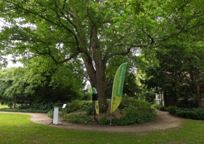 Ausrufung Ess-Kastanie im Salinenpark: die "Bühne" vorm Baum mit Rednerpult, Mikrofonanlage und DDG-Beachflags angemessen präpariert