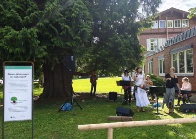 die 5-köpfige neue Lindauer Band 'Tree Whisperers' mit fulminanter Begleitmusik