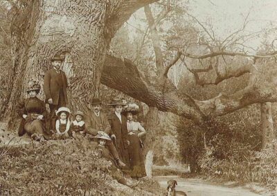 Wolfgangseiche Thalmassing: Anblick der Wolfgangseiche um 1900, mit dem Ast auf damals einer Stütze (Foto-Postkarte in Privatbesitz)