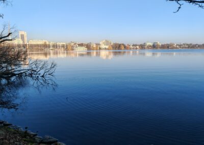 Japanischer Schnurbaum in Hamburg: Wenn man vom Hauptbahnhof an die Außenalster kommt, sieht man gegenüber eine Aufreihung hochrangiger weißer Gebäude.