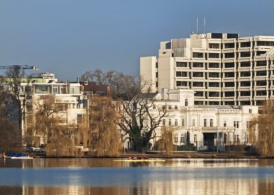 Japanischer Schnurbaum in Hamburg: Etwas links vor dem höchsten in der Mitte erkennt man im Winterzustand eine mächtige schwarze Baumgestalt (auf dem Bild genau hinter dem Ruderboot).