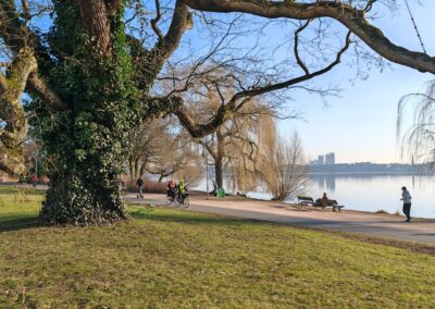 Japanischer Schnurbaum in Hamburg: mit reichlich Angeboten rundherum zum Genießen: Radfahren, Walken, Rudern, Chillen, Träumen u.a.