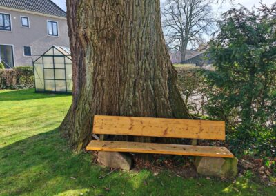 Riesige Eiche im Bremer Privatgarten: der Lieblingsplatz der Eigentümer, mit einer unschätzbaren Lebensgemeinschaft über ihnen im Baum