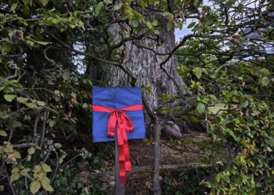 Ausrufung der Alten Eiche in Bremen-Vegesack: aber alles hat geklappt, diesmal ein Standort in der Hecke zur Straße (der Stein am Stammfuß wächst gerade ein)