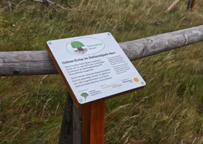 Ausrufung Hohne-Eiche: …mit seiner neuen Ehrentafel