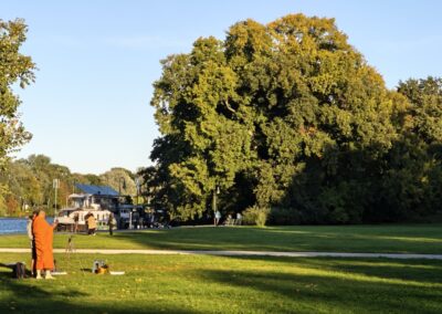 Ausrufung Ulme Berlin: die riesige Flatter-Ulme am Vorabend der Ausrufungsfeier in all Ihrer Pracht an der Spree