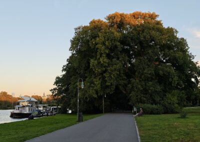 Ausrufung Ulme Berlin: und bei Sonnenuntergang: "Gute Nacht liebe Ulme, wie geht es dir am Vorabend - bist du bereit für die große Feier morgen?" … 'Aye, aye, sir – everything is fine!'