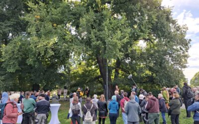 Eine ganz besondere Hauptstadt-Ausrufung der großen Flatter-Ulme im edlen Ambiente an der Spree