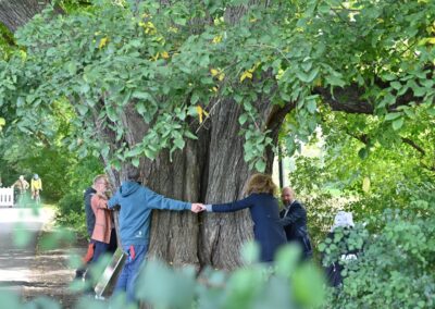 Ausrufung Ulme Berlin: Methode von Eckart von Hirschhausen zur Baum-Umfangmessung (2. von links, rechts daneben Stadträtin Dr. Claudia Leistner und Referatsleiter Eike Christiansen; Foto: Andreas Gomolka)
