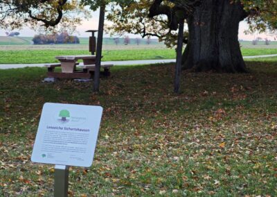 Ausrufung Lenzeiche: stolzer Baum mit neuer Ehrentafel – alle waren und sind begeistert und glücklich über diese würdige Feier und hohe Auszeichnung