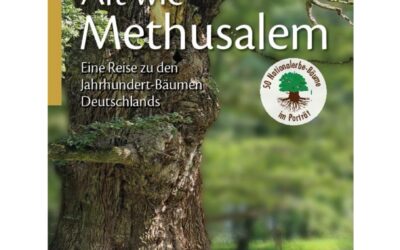 Neues Buch zu den ersten 50 Nationalerbe-Bäumen Deutschlands
