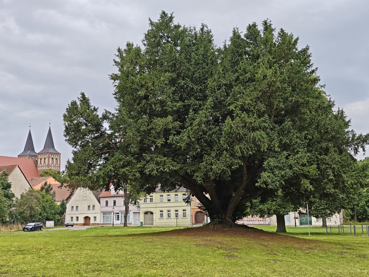 in der Sichtachse etwa nach Südost kann man durch den Stamm hindurchsehen und -gehen