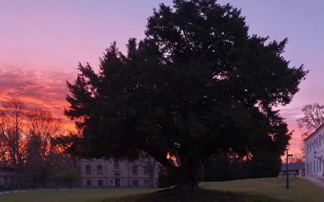 Toller Auftakt der Ausrufungs-Saison 2026 mit der Schlosseibe in Baruth/Mark, Brandenburg