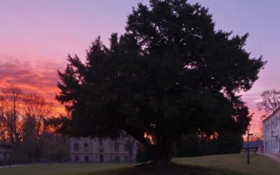 Toller Auftakt der Ausrufungs-Saison 2026 mit der Schlosseibe in Baruth/Mark, Brandenburg