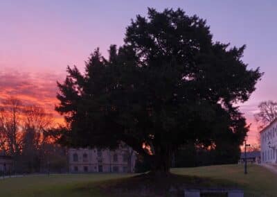 Ausrufung Schlosseibe Baruth: …und am frühen Morgen vor der Tafelinstallation mit Himmelsspektakel – Zufall?