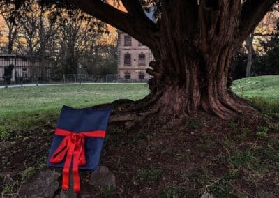 Ausrufung Schlosseibe Baruth: die Baumtafel an ihrem Platz installiert, als Baruth noch schläft