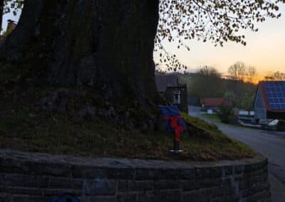 Ausrufung Dorflinde Harbach: die Baumtafel zum Sonnenaufgang installiert, und rundherum fingen die Bauern gerade an zu melken