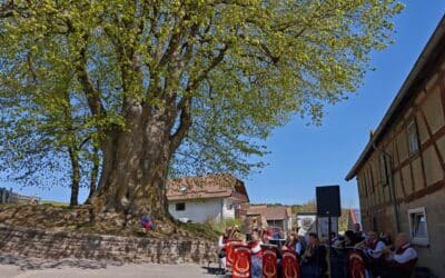 Überwältigende Ausrufungs- und 500-jährige Geburtstagsfeier der Dorflinde in Harbach (Lkr. Fulda, Rhön)
