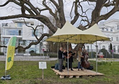 Ausrufung Schnurbaum Hamburg: Mit wunderschön passender Swing-Musik sorgte die Hamburger 'Pocket Jazzband' für Stimmung am Baum mit seiner neuen Ehrentafel.