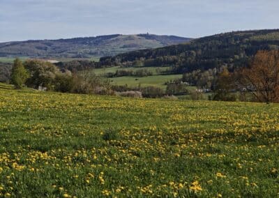 Ausrufung Dorflinde Harbach: die Rhön zur Feier in vollster Blüte und bester Frühlingslaune