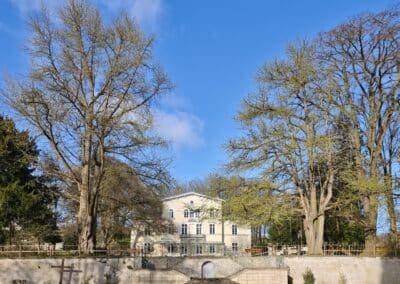 Starker Ginkgo in Bornheim-Roisdorf: den Park prägendes Ginkgopaar von der unteren Parkebene aus beiderseits oberhalb der Treppenanlage