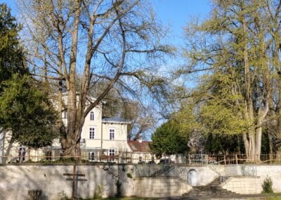 Starker Ginkgo in Bornheim-Roisdorf: beide Bäume Ende März, der rechte Baum bereits austreibend (hinten: Haus Wittgenstein)